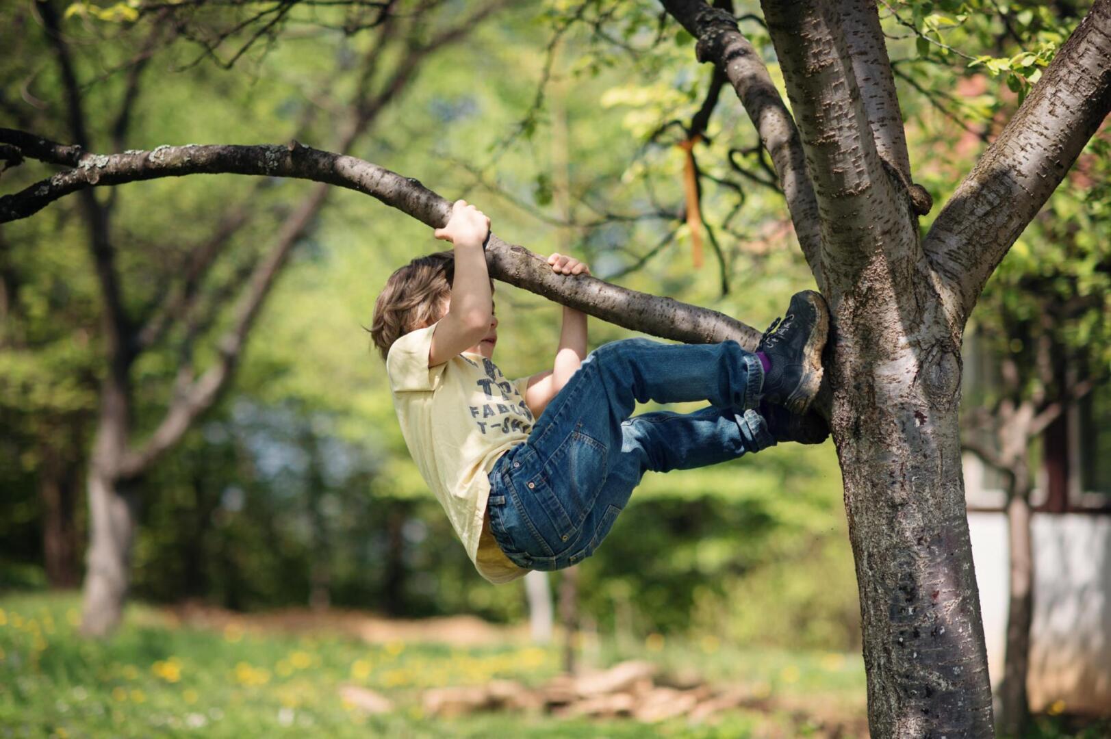 Junge klettert auf Baum